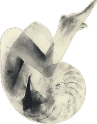a black and white photo of a woman in a shell